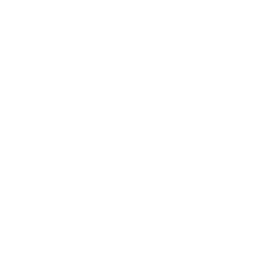 Perro de pie y una paloma en vuelo